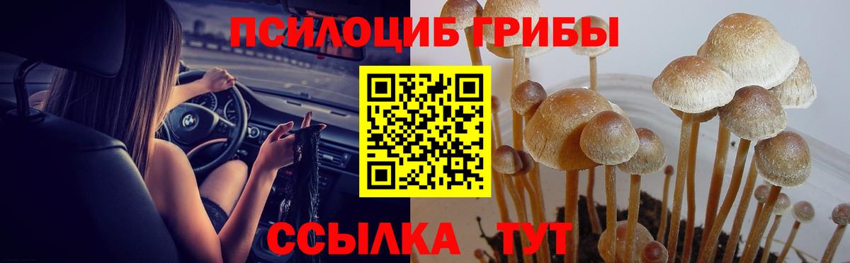Междуреченск  Галлюциногенные грибы прущие грибы  закладки  Вход с VPN 